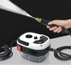 Portable Pressure Steam Cleaner