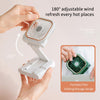 3 in 1 Portable Fan