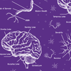 Neuroscience Sleeveless Dress (Purple & Red Color)