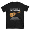All I Need Is This Guitar And That Other Guitar... (Acoustic Guitar)