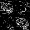 Neuroscience Sleeveless Dress